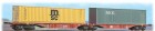 40259 ACME Articulated Container car type Sggmrss 90 of CD Cargo loaded  with containers